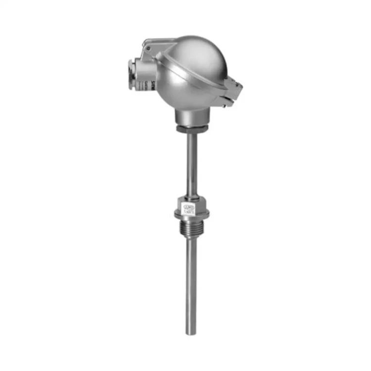 QAE3010.016 Zanurzeniowy czujnik temperatury, Pt100, -50..+200 °C, IP65, długość zanurzenia 160 mm, PN40