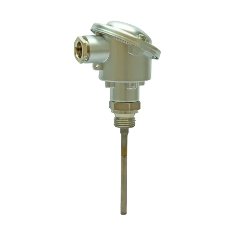 FT-TP/100 Zanurzeniowy czujnik temperatury, Pt100, -100..+450 °C, długość zanurzenia 100 mm, PN40