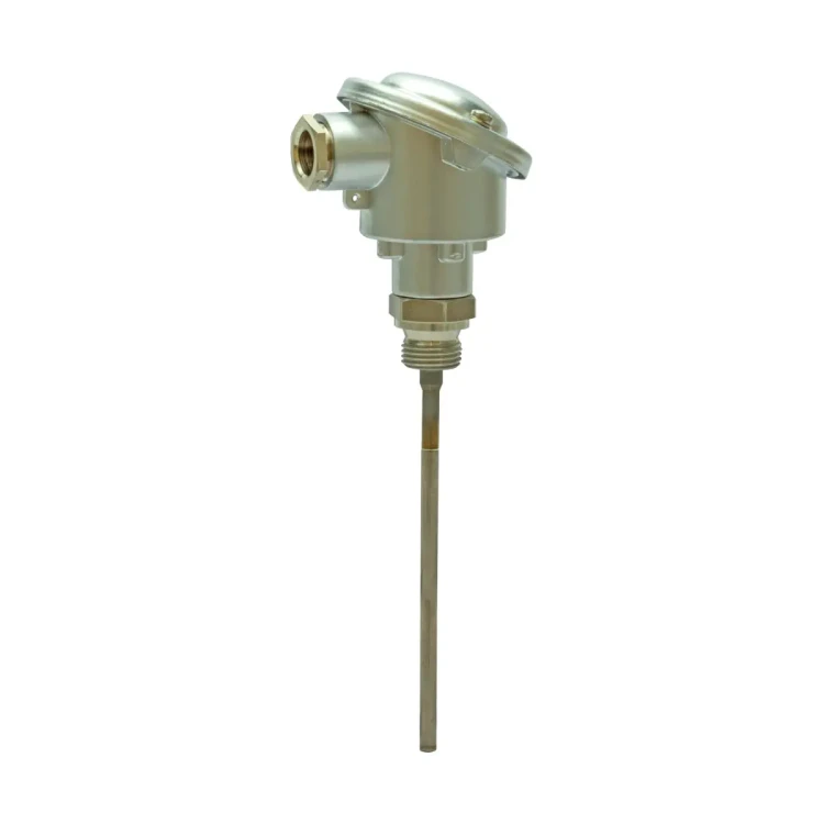 FT-TP/400 Zanurzeniowy czujnik temperatury, Pt100, -100..+450 °C, długość zanurzenia 400 mm, PN40