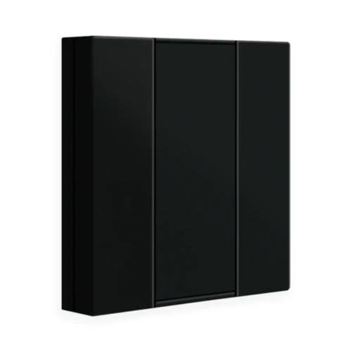 BE-TA550206.02 KNX przycisk 55 2-krotny, czarny mat