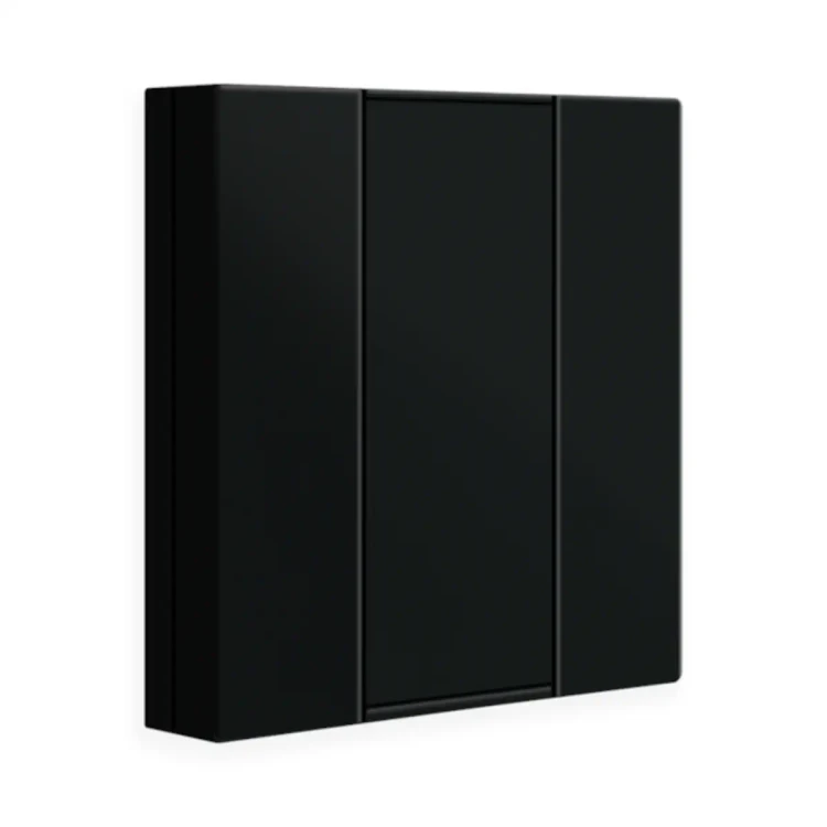 BE-TA550206.02 KNX przycisk 55 2-krotny, czarny mat