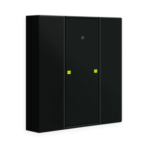 RF-TA55A206.01 KNX RF+ przycisk Plus 55 2-krotny, z wbudowanym aktorem, czarny mat