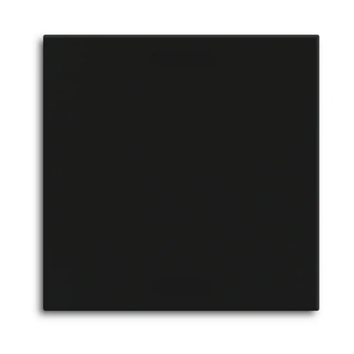 TAL-55BW1006.02 MDT klawisz do KNX przycisku Light 55 Basic 1-krotnego, czarny mat, neutralny