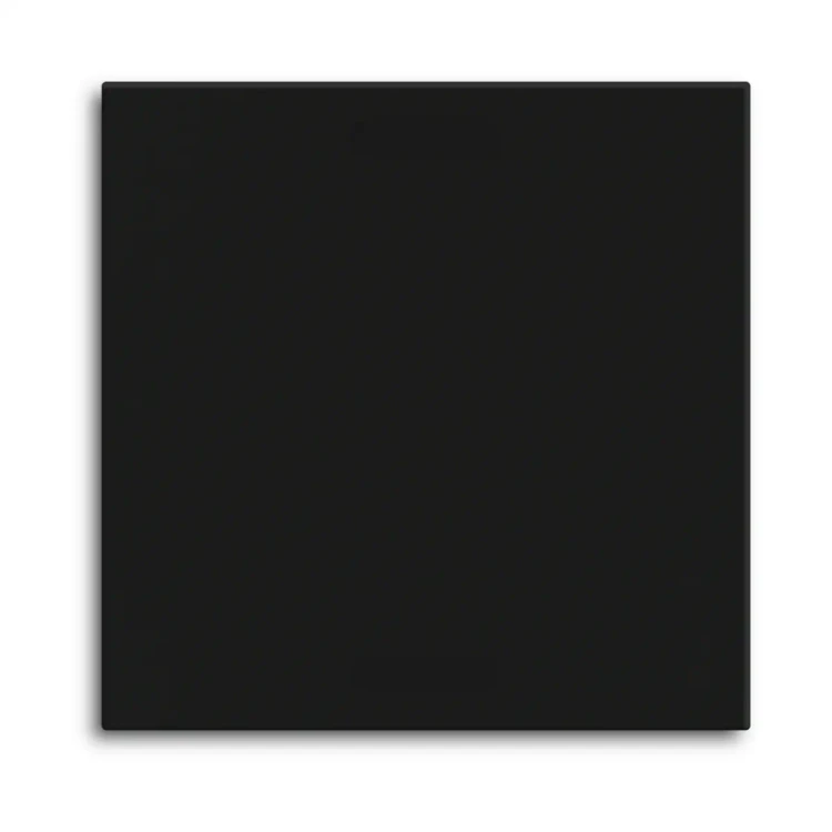 TAL-55BW1006.02 MDT klawisz do KNX przycisku Light 55 Basic 1-krotnego, czarny mat, neutralny