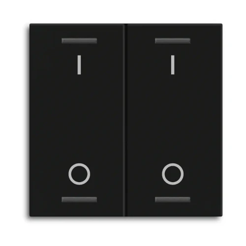 TAL-55W2B06.02 MDT klawisz do KNX przycisku Light 55 2-krotnego, czarny mat, przełącznik
