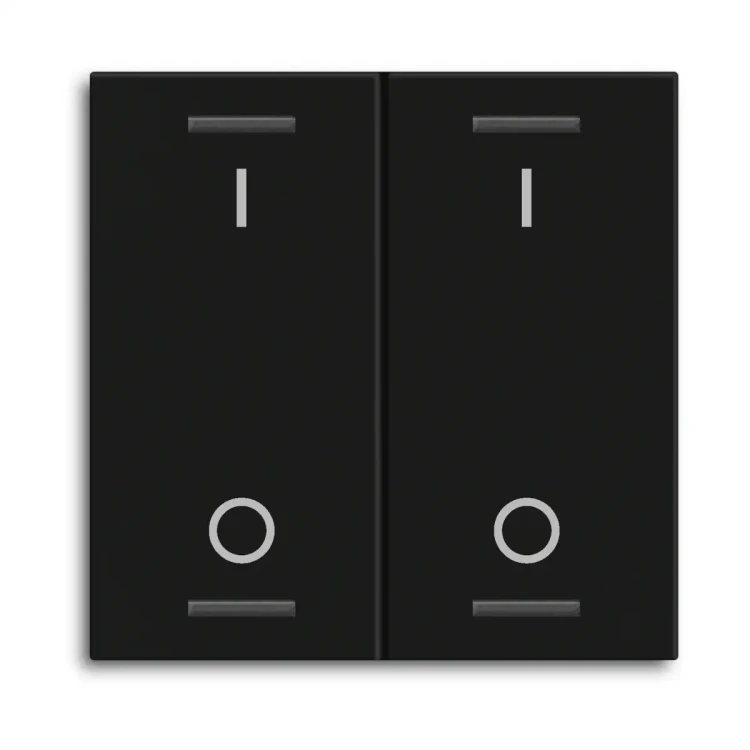 TAL-55W2B06.02 MDT klawisz do KNX przycisku Light 55 2-krotnego, czarny mat, przełącznik