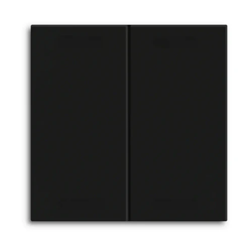 BE-TAL55BW206.01 MDT klawisz do KNX przycisku Light 55 Basic 2-krotnego, czarny mat, neutralny