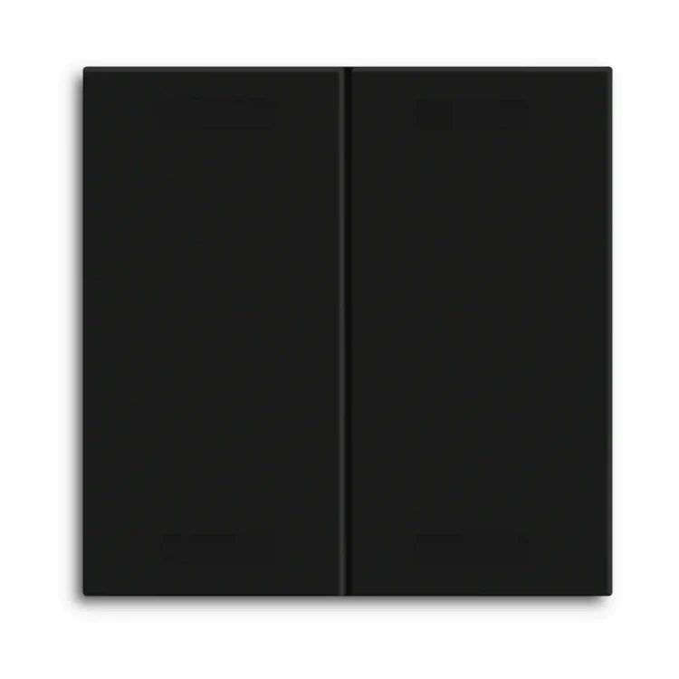 BE-TAL55BW206.01 MDT klawisz do KNX przycisku Light 55 Basic 2-krotnego, czarny mat, neutralny