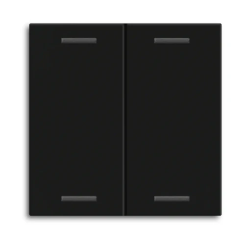 BE-TAL55W206.01 MDT klawisz do KNX przycisku Light 55 2-krotnego, czarny mat, neutralny