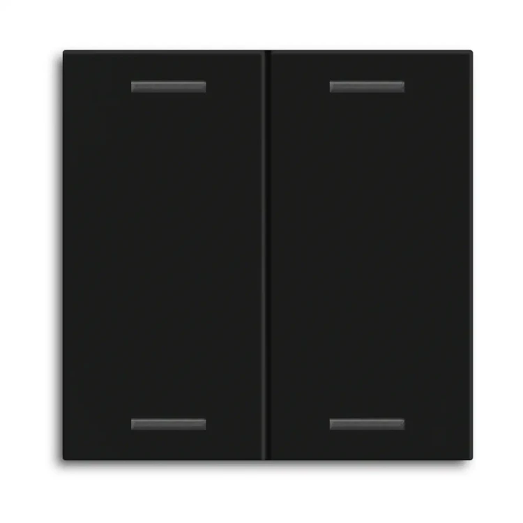 BE-TAL55W206.01 MDT klawisz do KNX przycisku Light 55 2-krotnego, czarny mat, neutralny