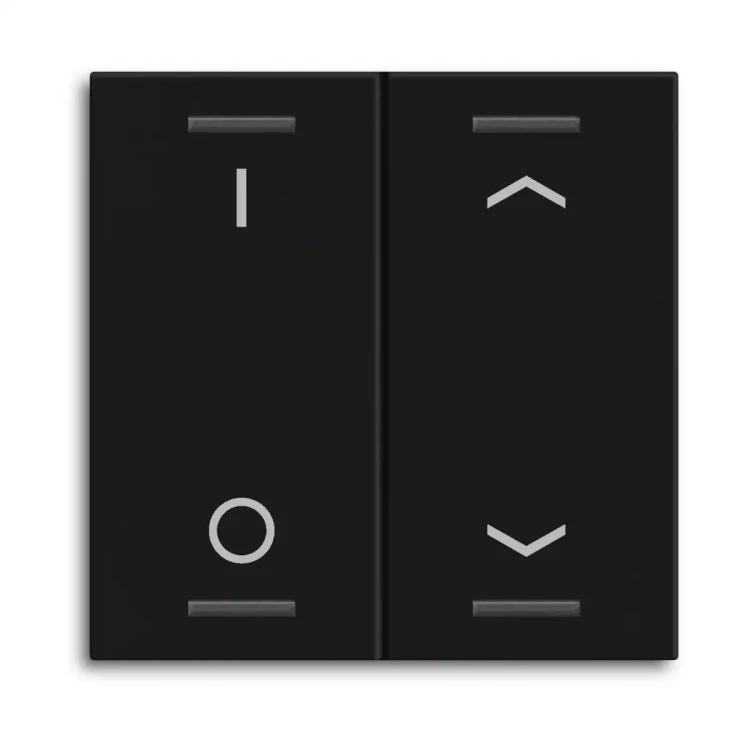 BE-TAL55W206.D1 MDT klawisz do KNX przycisku Light 55 2-krotnego, czarny mat, przełącznik i żaluzje